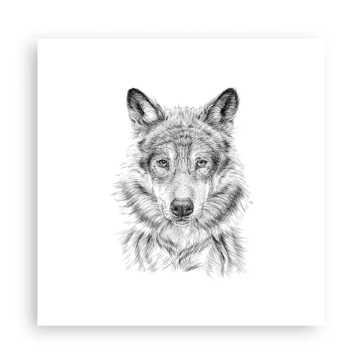 Poster - Ein geborener Anführer - 30x30 cm