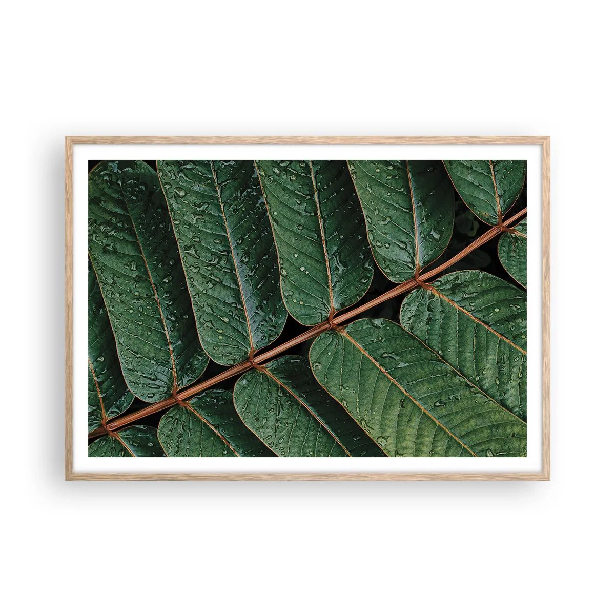 Poster in einem Rahmen aus heller Eiche - Im grünen Rhythmus - 100x70 cm