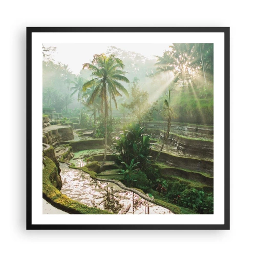 Poster in einem schwarzem Rahmen - In der Sonne aufwachsen - 60x60 cm