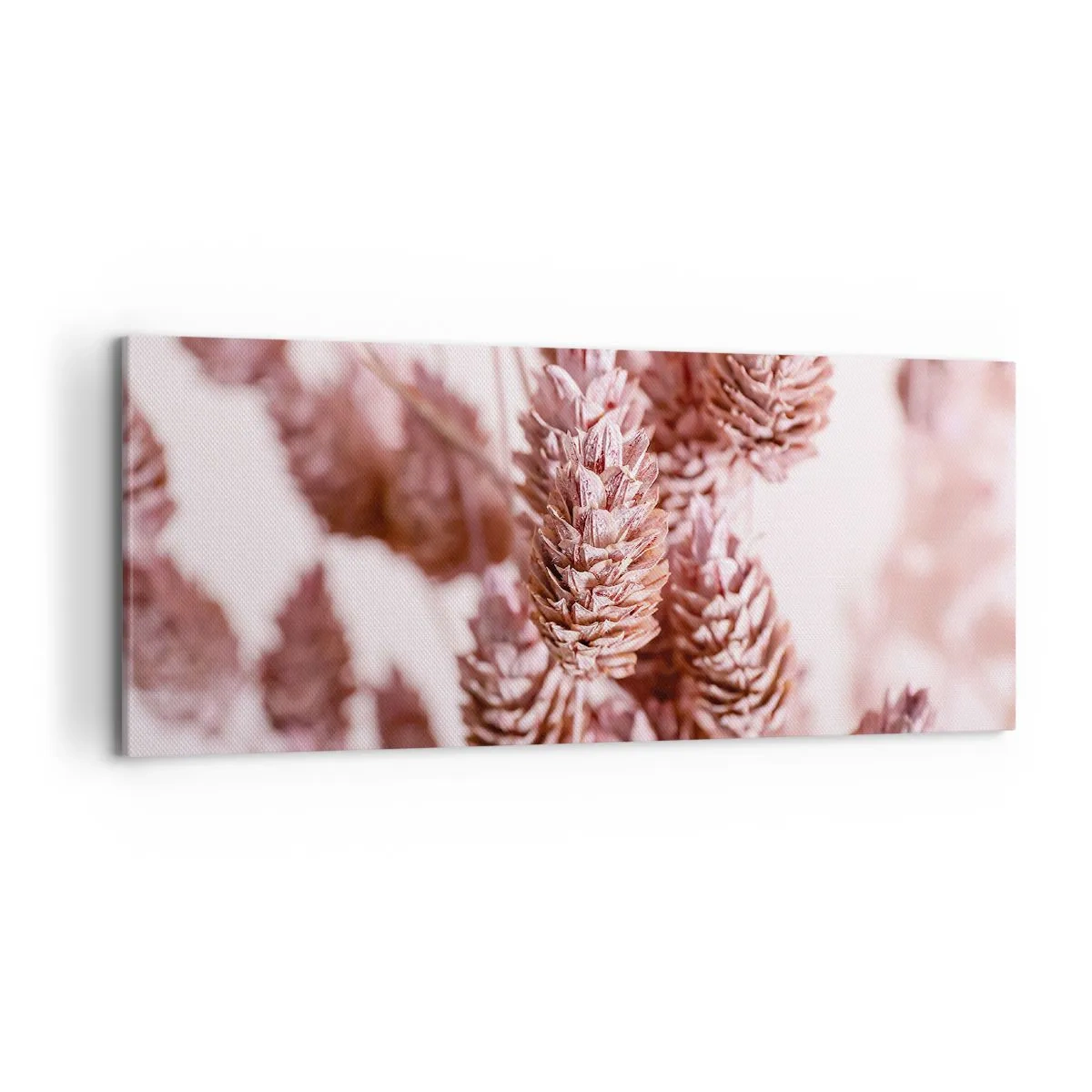 Bild auf Leinwand - Leinwandbild - Eine Nahaufnahme der zarten rosa Ähren von Ziergräsern - 120x50cm - Scheinbar unauffällig - Moderne Wanddekoration für Wohnzimmer und Schlafzimmer ARTTOR