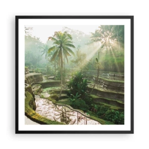 Poster in einem schwarzem Rahmen - In der Sonne aufwachsen - 60x60 cm