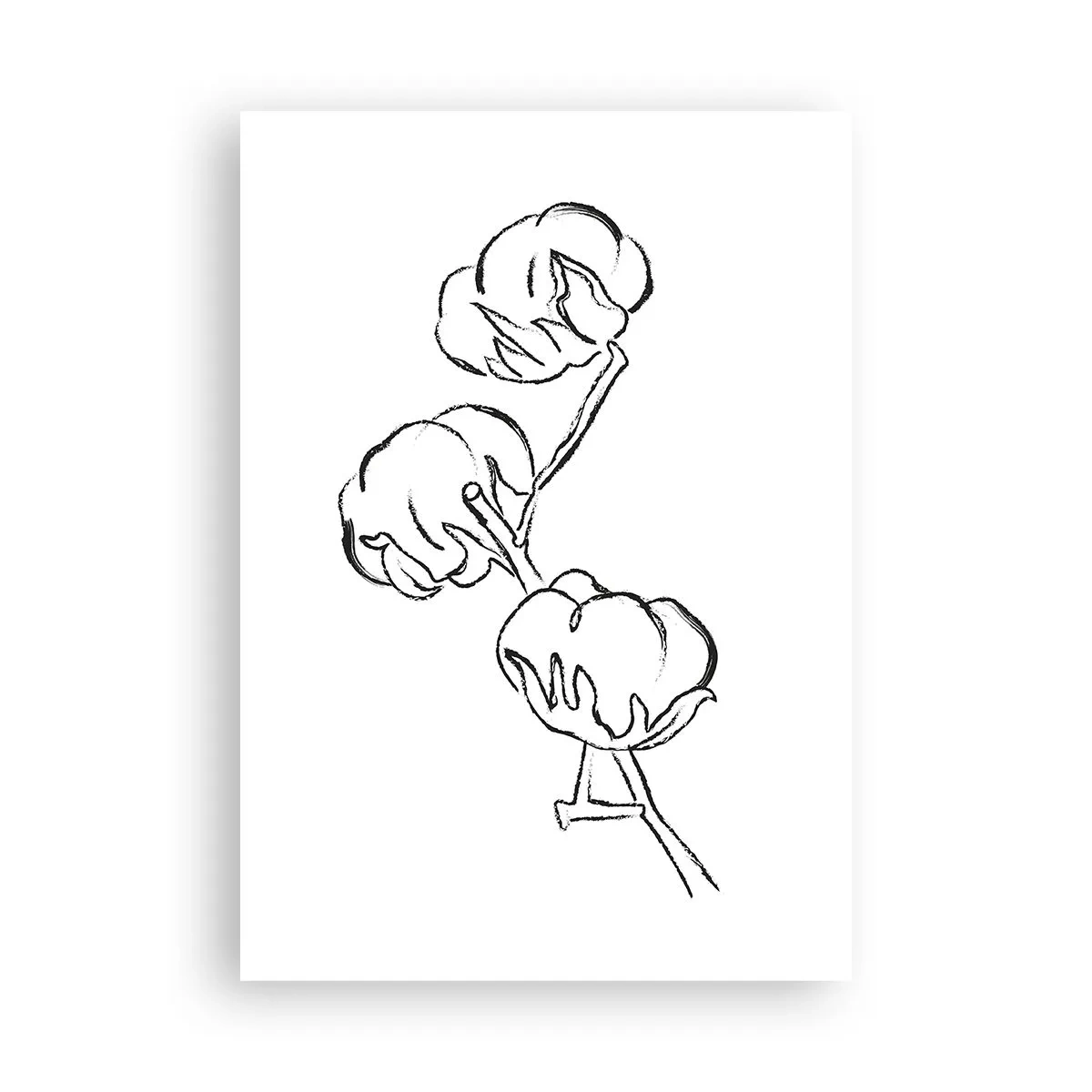 Poster - Baumwolldaunen - 70x100 cm