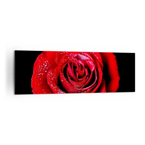 Bild auf Leinwand - Leinwandbild - Eine rote Rose mit Tautropfen auf schwarzem Hintergrund. - 160x50cm - Das ist Liebe - Moderne Wanddekoration für Wohnzimmer und Schlafzimmer ARTTOR