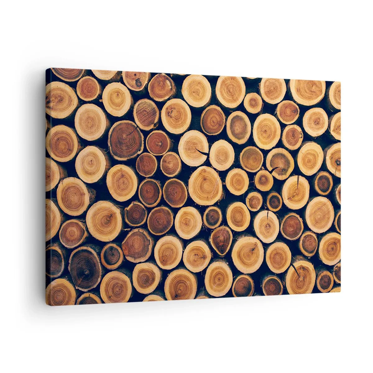 Bild auf Leinwand - Leinwandbild - Muster aus Querschnitten von Holzstämmen - 70x50cm - Wie alt sehe ich aus? - Moderne Wanddekoration für Wohnzimmer und Schlafzimmer ARTTOR