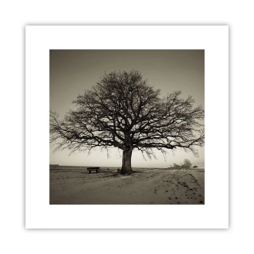 Poster - Von hier zu Ewigkeit - 30x30 cm