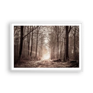 Poster in einem weißen Rahmen - Waldkathedrale - 91x61 cm