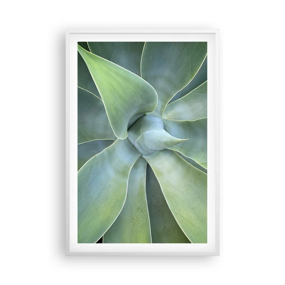 Poster in einem weißen Rahmen - Geburt des Grüns - 61x91 cm