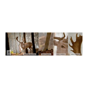 Fototapeten Muster Premium Canvas - Das Licht der Jugend - Tiere, Reh, Wald - 100x30 cm