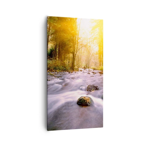 Bild auf Leinwand - Leinwandbild - Malachit im Silber- und Goldrahmen - 55x100 cm