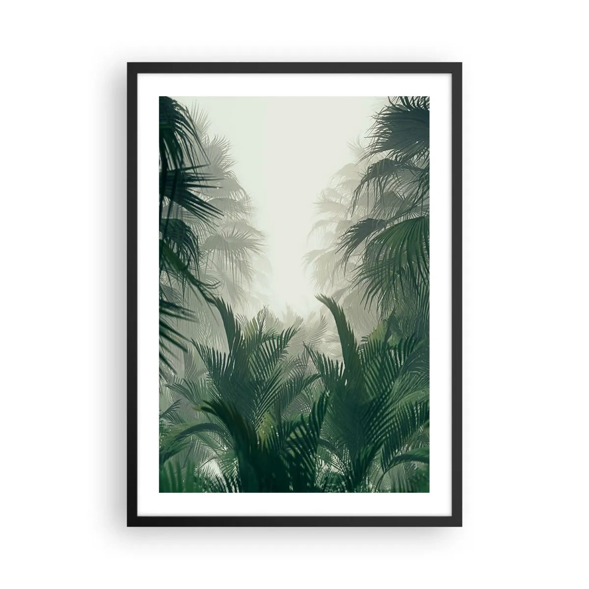 Poster in einem schwarzem Rahmen - Tropische Vegetation in nebliger Umgebung - 50x70cm - Tropisches Geheimnis - Moderne Wanddekoration für Wohnzimmer und Schlafzimmer ARTTOR