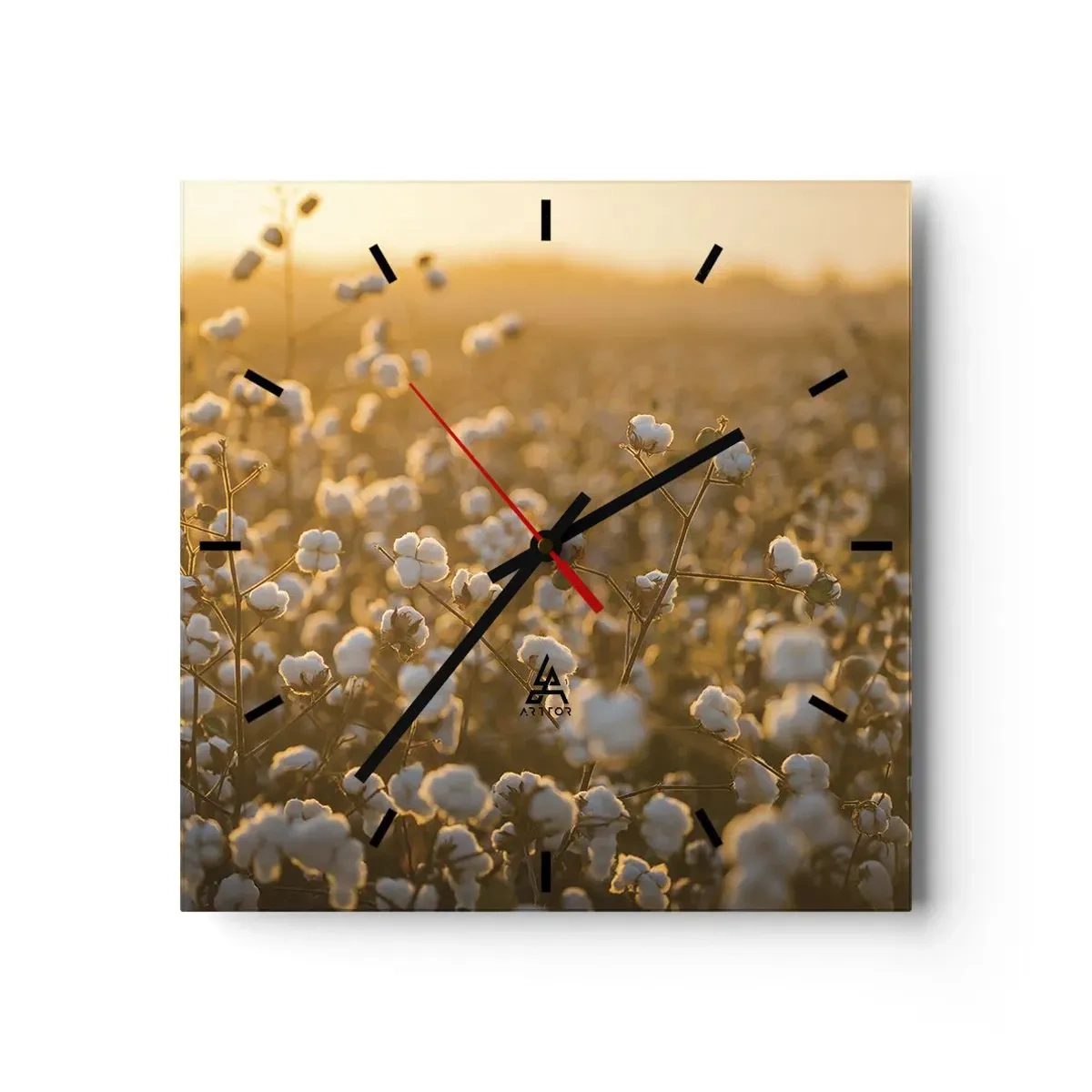 Wanduhr - Glasuhr - Ein Baumwollfeld im warmen Licht der untergehenden Sonne - 30x30cm - Fluffiges Feld - Moderne Wanddekoration für Wohnzimmer und Schlafzimmer ARTTOR