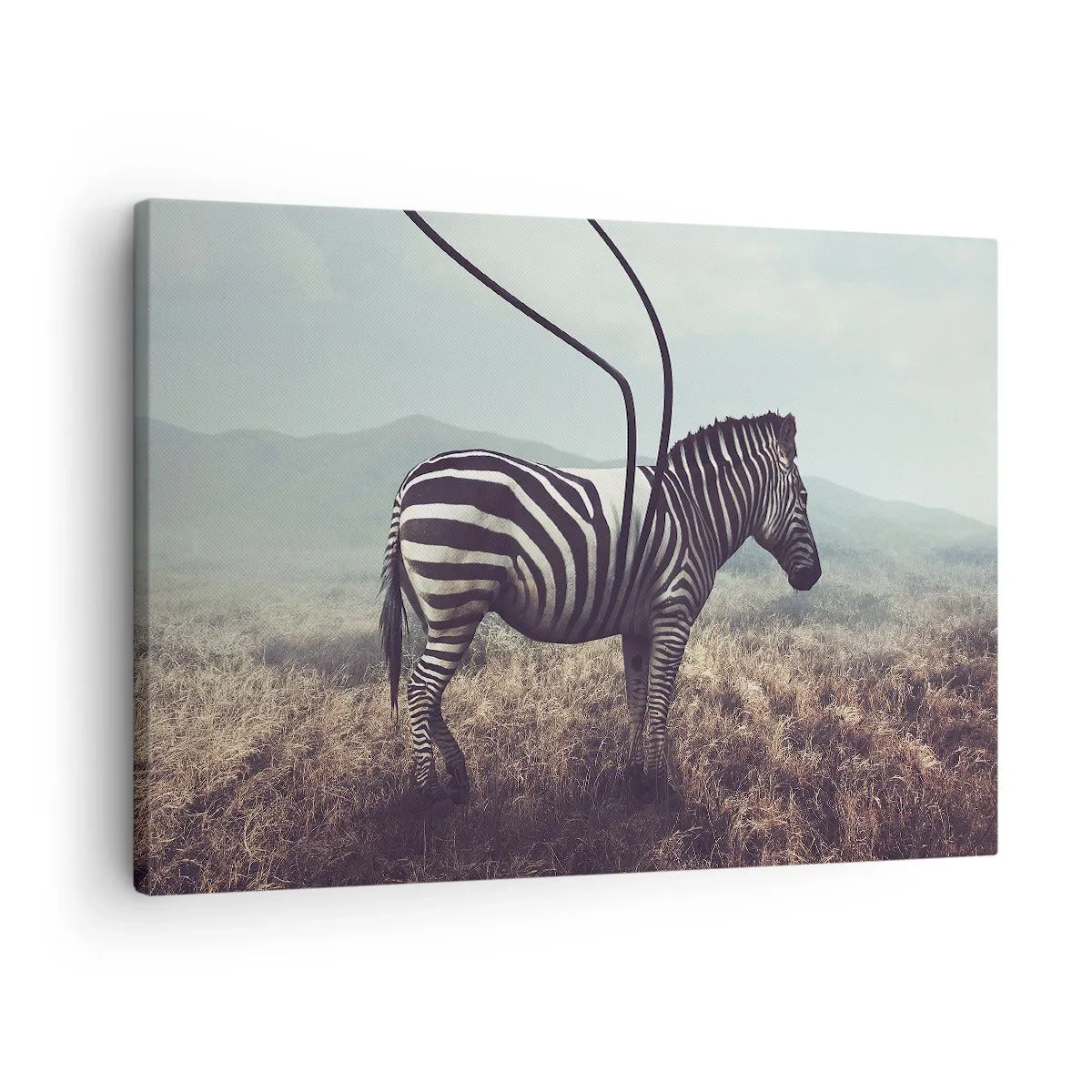 Bild auf Leinwand - Leinwandbild - Ein surreales Zebra vor einer grasbewachsenen Landschaft - 70x50cm - Achtung! Fehler - Moderne Wanddekoration für Wohnzimmer und Schlafzimmer ARTTOR