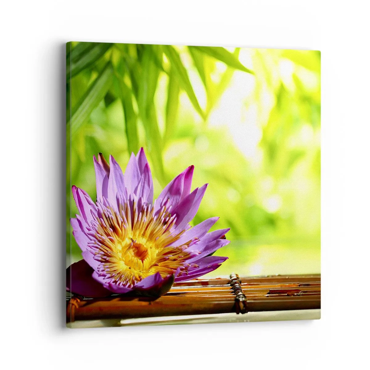 Bild auf Leinwand - Leinwandbild - In der asiatischen Sonne - 40x40 cm