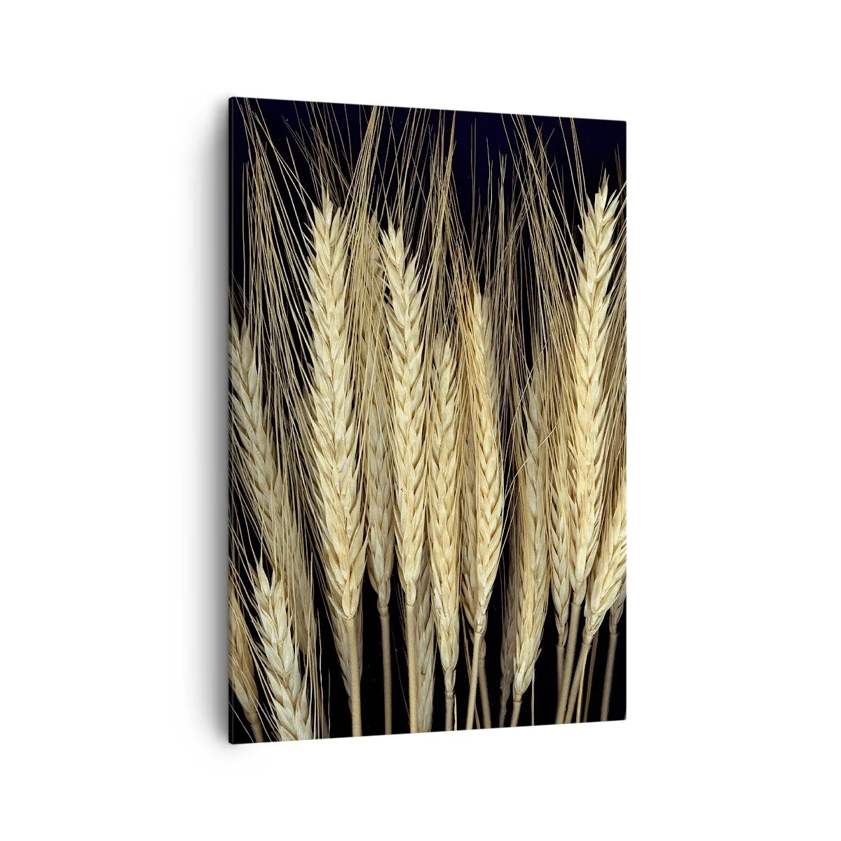 Bild auf Leinwand - Leinwandbild - Weizenähren auf schwarzem Hintergrund im rustikalen Stil - 70x100cm - Rustikale Magie - Moderne Wanddekoration für Wohnzimmer und Schlafzimmer ARTTOR