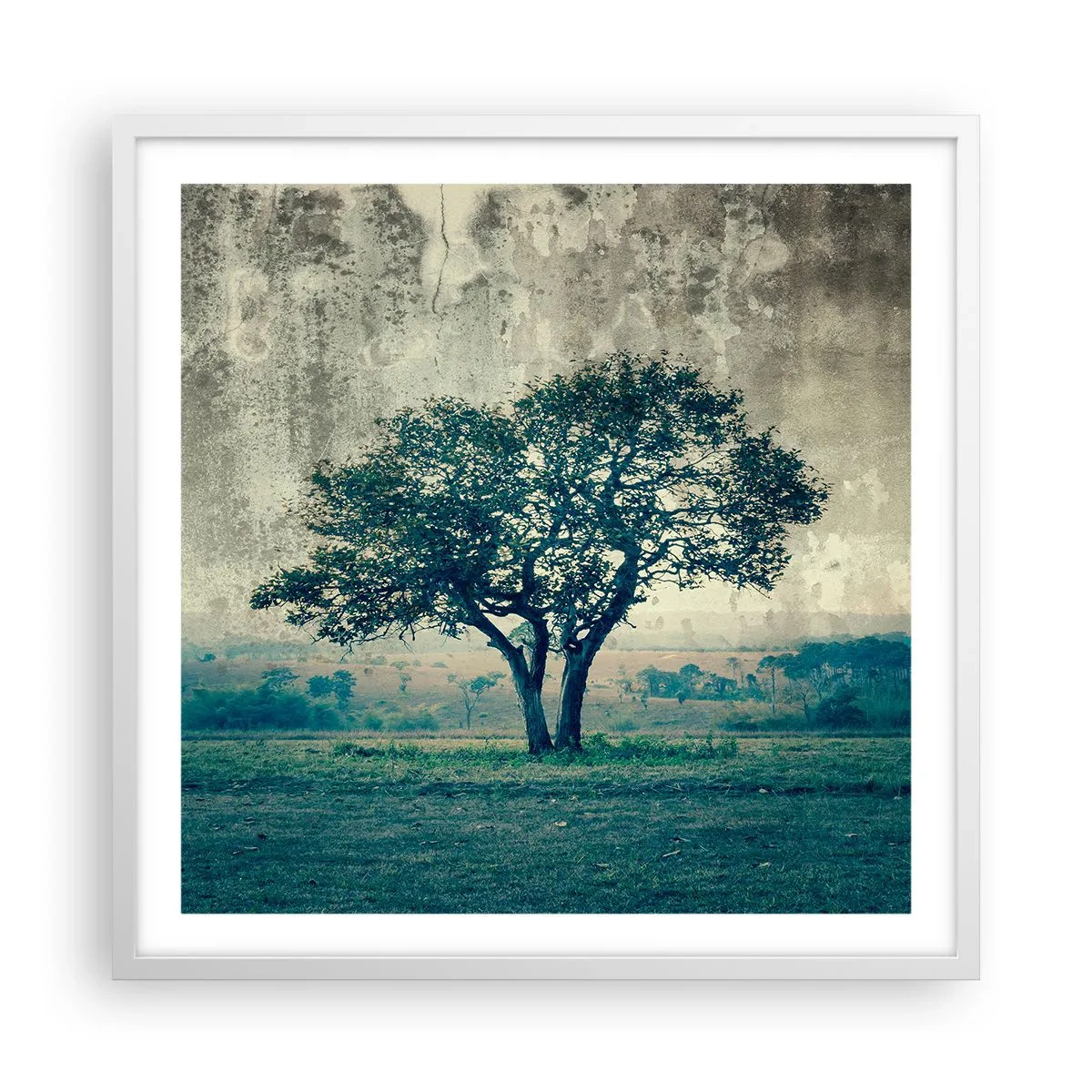 Poster in einem weißen Rahmen - Ein Apfelbaum auf blauem Feld? - 60x60 cm