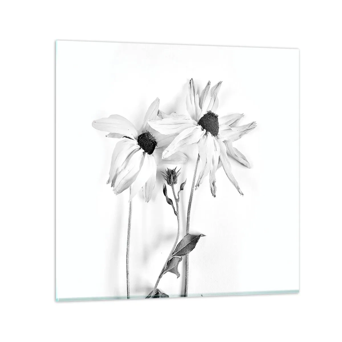 Glasbild - Bild auf glas - Niemand will allein sein - 30x30 cm