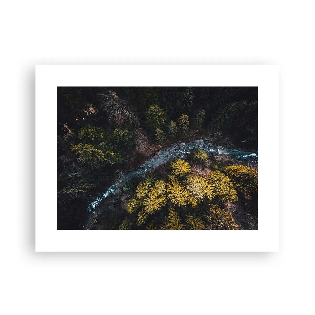 Poster - Schnell und immer schneller - 40x30 cm