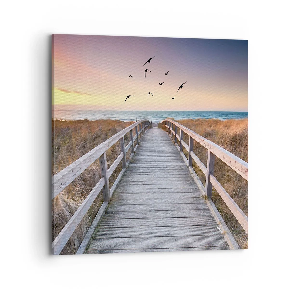 Bild auf Leinwand - Leinwandbild - Der Raum für Auffliegen - 70x70 cm