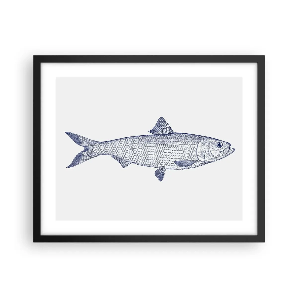 Poster in einem schwarzem Rahmen - Grüße aus den nördlichen Meeren - 50x40 cm