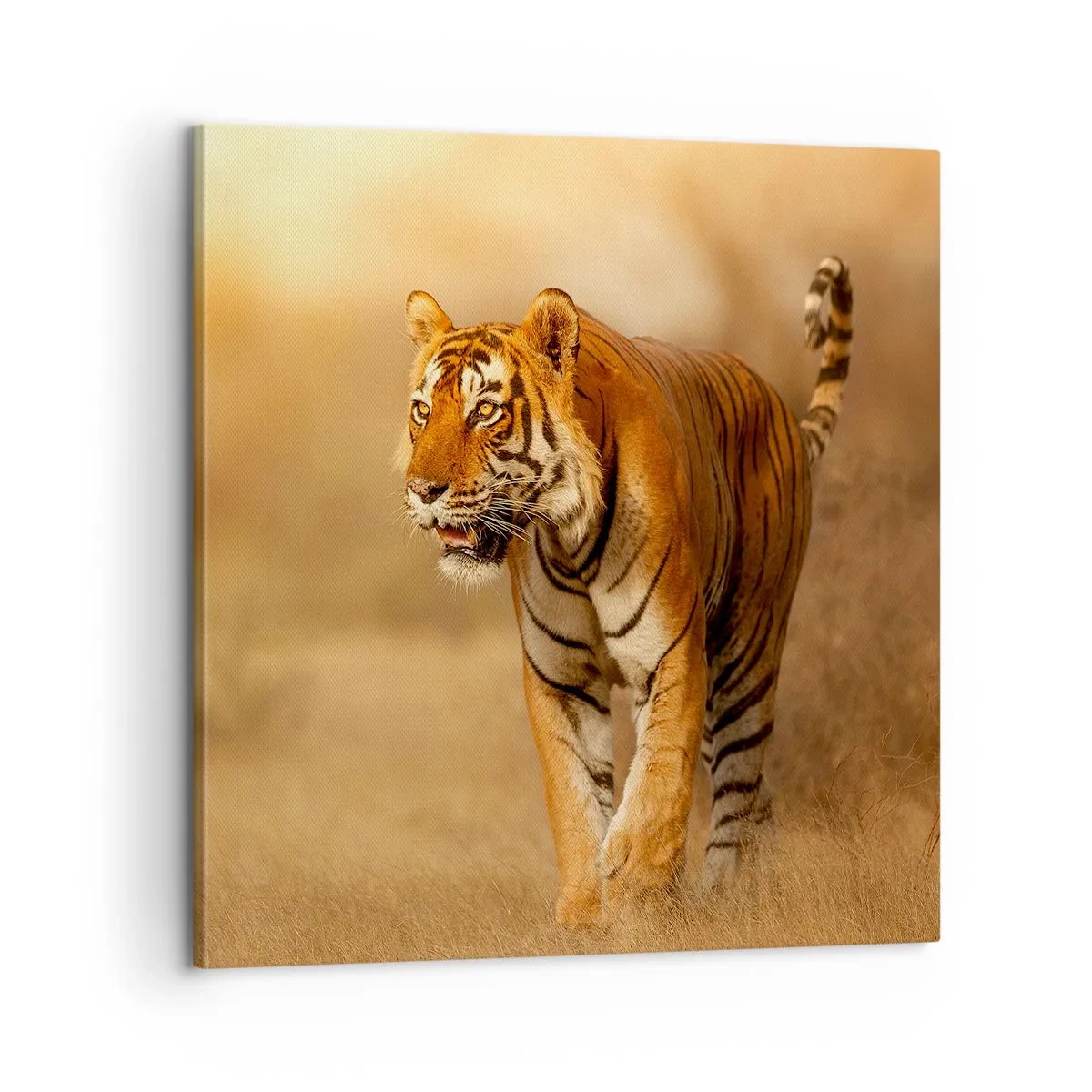 Bild auf Leinwand - Leinwandbild - Vor dem Angriff - 60x60 cm