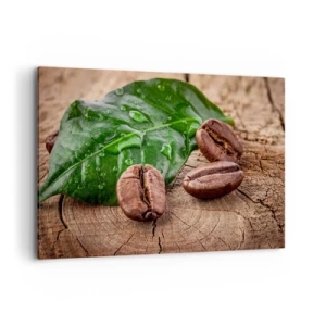 Bild auf Leinwand - Leinwandbild - Kaffeebohnen und grünes Blatt auf einem hölzernen Hintergrund - 100x70cm - Der wahrste und schwarze - Moderne Wanddekoration für Wohnzimmer und Schlafzimmer ARTTOR