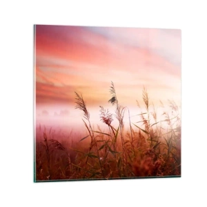 Glasbild - Bild auf glas - Drachen, Löwenzahn, Wind - 70x70 cm