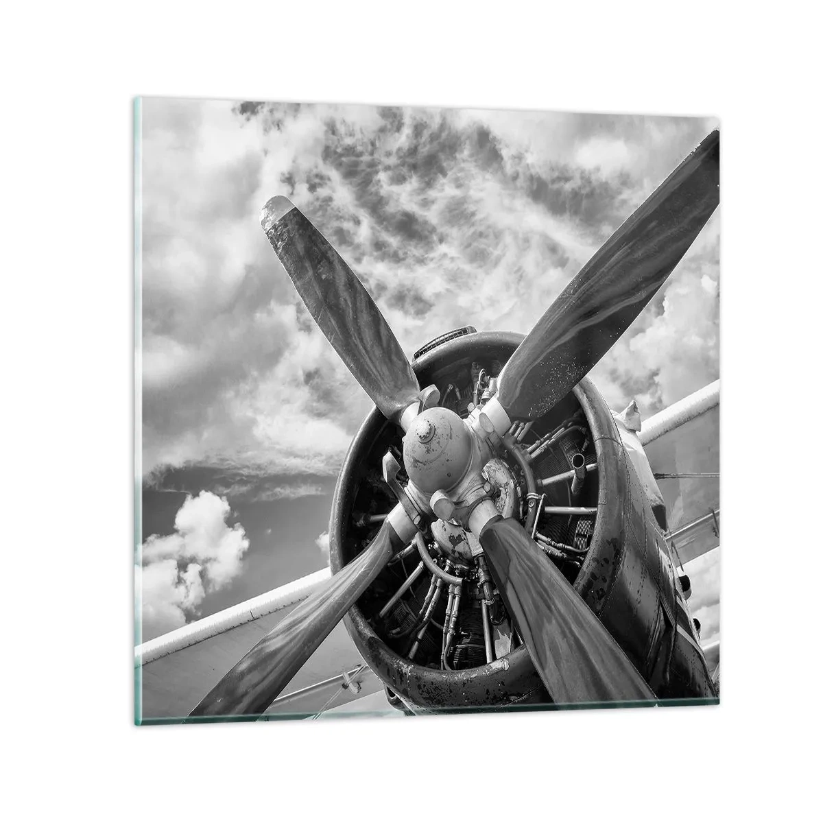 Glasbild - Bild auf glas - Eroberer der Lüfte - 50x50 cm