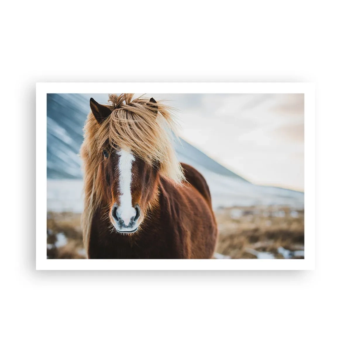 Poster - Spürst du die Freiheit? - 91x61 cm