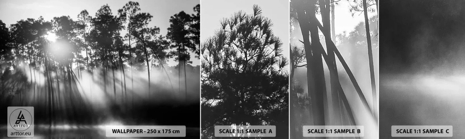 Fototapeten Muster Selbstklebend Deluxe Sticker - Unaufhaltsame Sonne - Landschaft, Wald, Natur - 100x30 cm