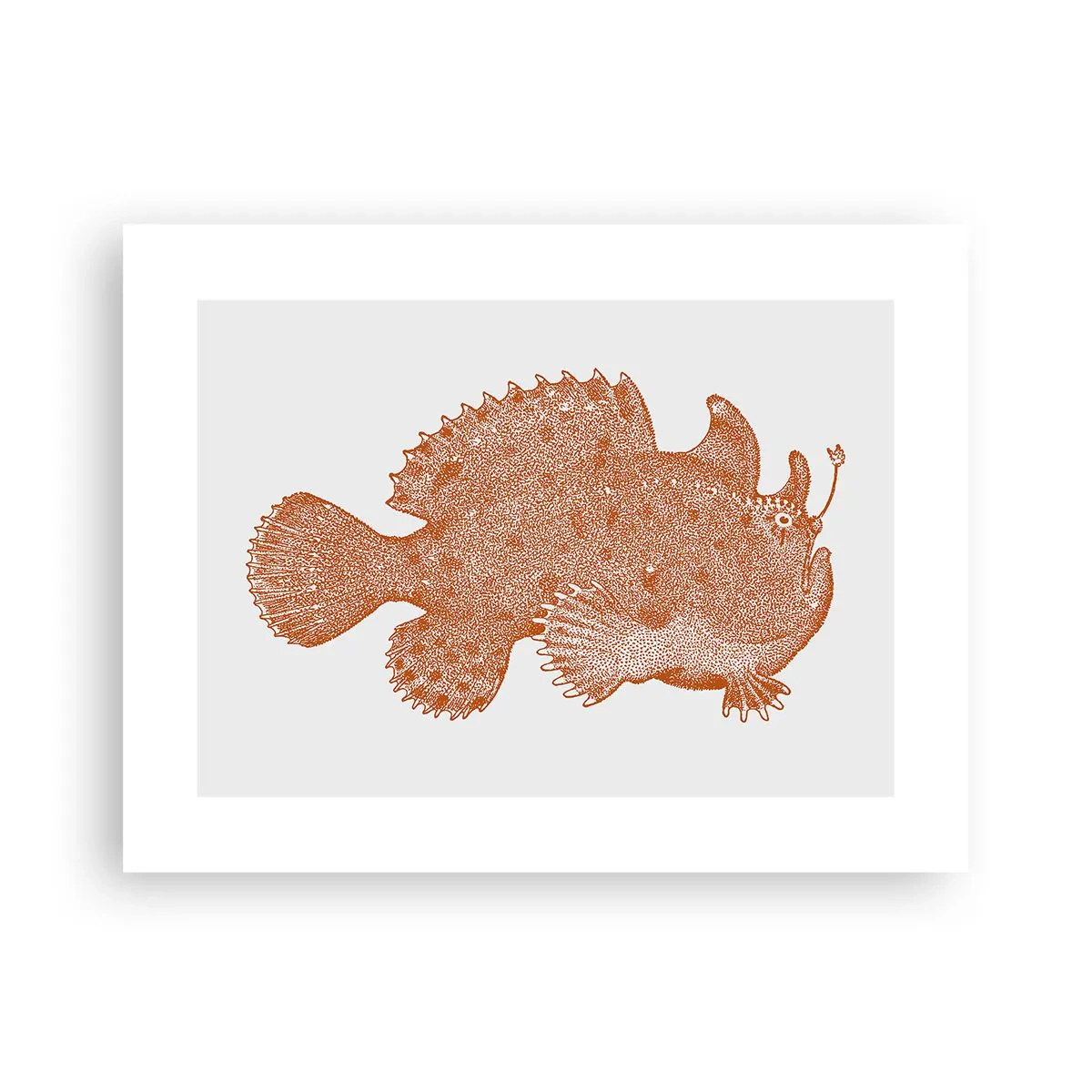 Poster - Es ist also doch ein Fisch - 40x30 cm