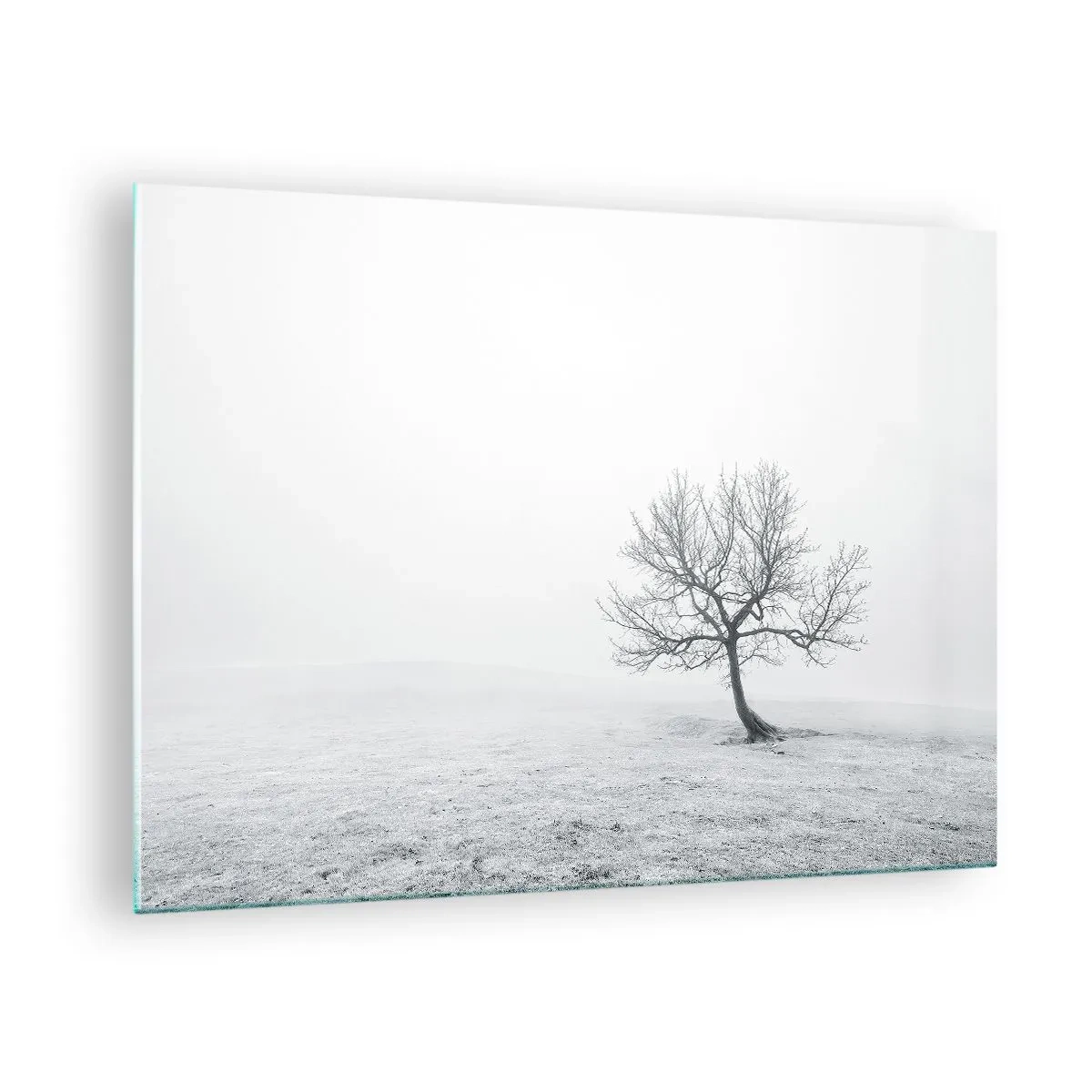 Glasbild - Bild auf glas - Ein einsamer Baum vor dem Nebel in einer monochromen Komposition - 70x50cm - Gegen das Nichts - Moderne Wanddekoration für Wohnzimmer und Schlafzimmer ARTTOR