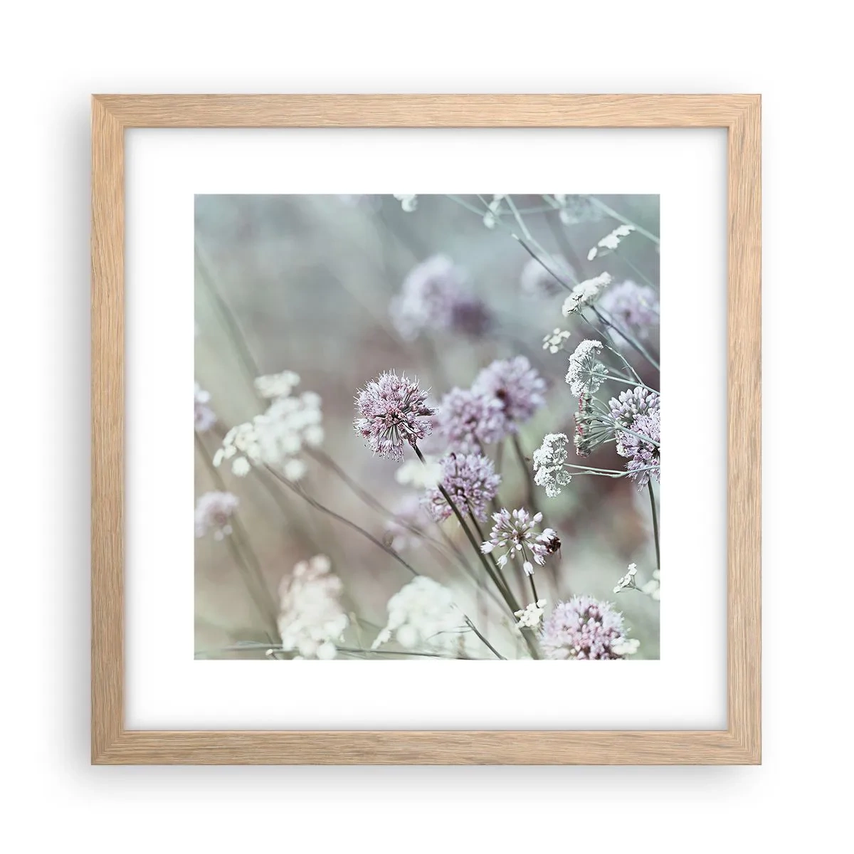 Poster in einem Rahmen aus heller Eiche - Süße filigrane Kräuter - 30x30 cm