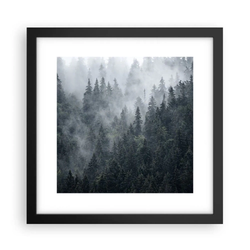Poster in einem schwarzem Rahmen - Walddämmerung - 30x30 cm