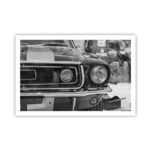 Poster - Wilder Ritt - 91x61 cm