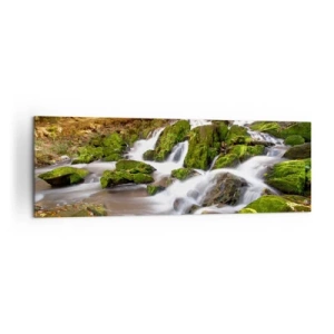 Bild auf Leinwand - Leinwandbild - Eine bewaldete Landschaft mit einem von Moos umgebenen Wasserfall - 160x50cm - Rasch durch den herbstlichen Wald - Moderne Wanddekoration für Wohnzimmer und Schlafzimmer ARTTOR