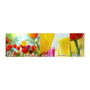 Fototapeten Muster Premium Canvas - Alle Farben der Sonne - Tulpen, Blumen, Wiese - 100x30 cm