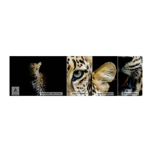 Fototapeten Muster Selbstklebend Deluxe Sticker - Dunkle Schönheit - Tiere, Leopard, Wilde Katze - 100x30 cm