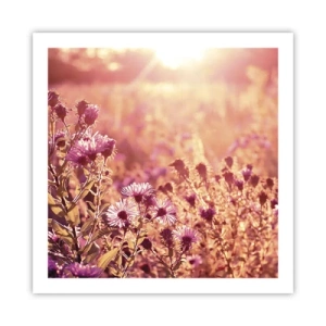 Poster - Bevor der Sommer vorbei ist - 60x60 cm