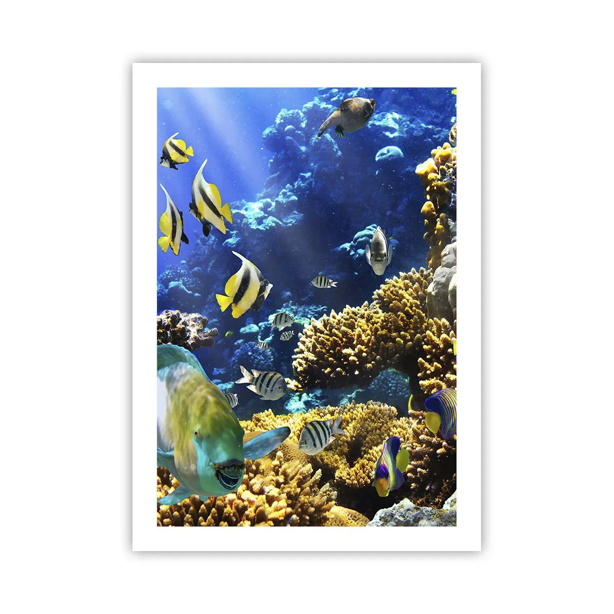 Poster - Eine Unterwasserwelt mit bunten Fischen und einem Korallenriff - 50x70cm - Viel Verkehr auf dem Ferienweg - Moderne Wanddekoration für Wohnzimmer und Schlafzimmer ARTTOR