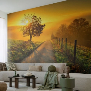 Maßgeschneiderte Fototapete Premium Sand - Honig-Nachmittag - Landschaft, Schotterstraße, Wiese