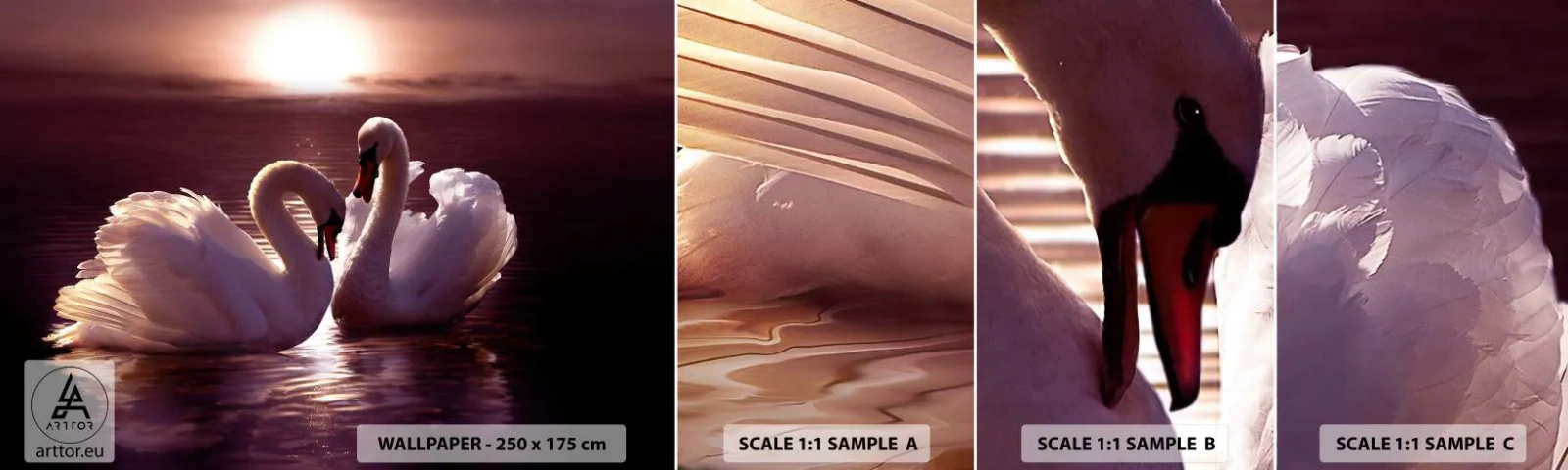 Fototapetenmuster Standard Eco - Bis der Tod uns scheidet - Tiere, Landschaft, Schwäne - 100x30 cm