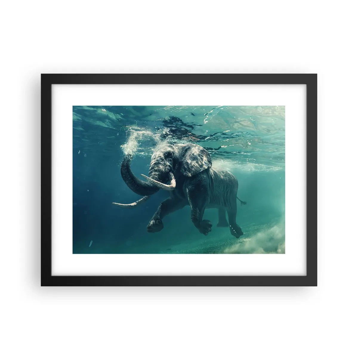 Poster in einem schwarzem Rahmen - Jeder schwimmt gerne - 40x30 cm
