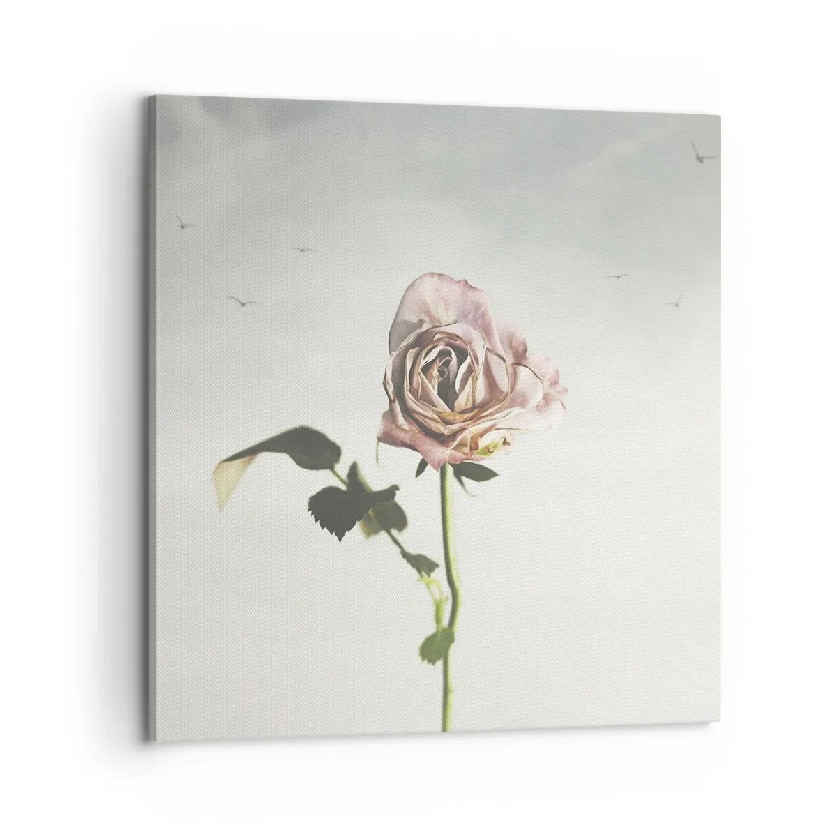 Bild auf Leinwand - Leinwandbild - Begrüßung des Frühlings - 60x60 cm