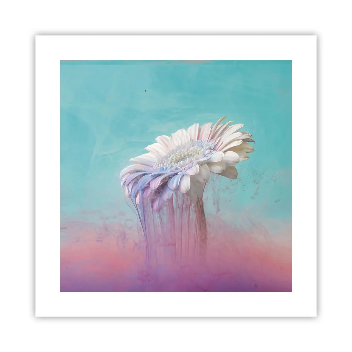 Poster - Blumenunterwelt - 40x40 cm