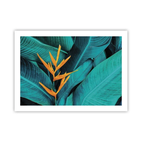 Poster - Eden-Blume - 70x50 cm