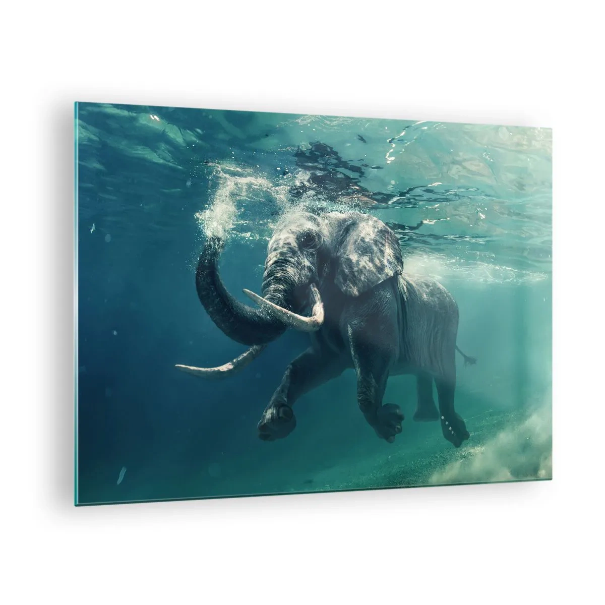 Glasbild - Bild auf glas - Ein Elefant, der unter Wasser im blauen Ozean schwimmt - 70x50cm - Jeder schwimmt gerne - Moderne Wanddekoration für Wohnzimmer und Schlafzimmer ARTTOR