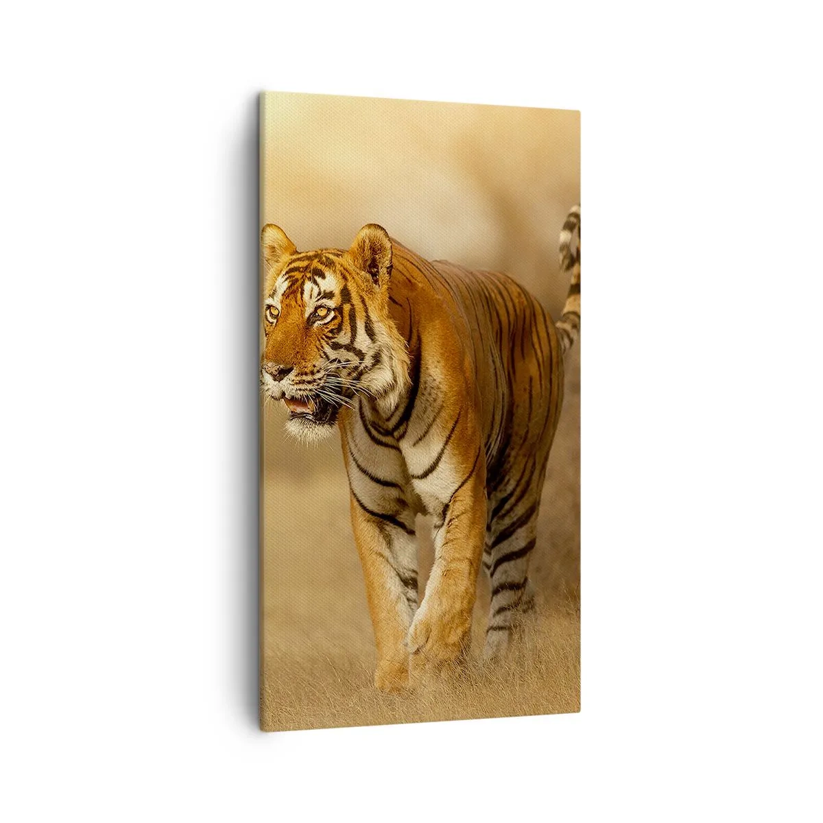 Bild auf Leinwand - Leinwandbild - Vor dem Angriff - 45x80 cm