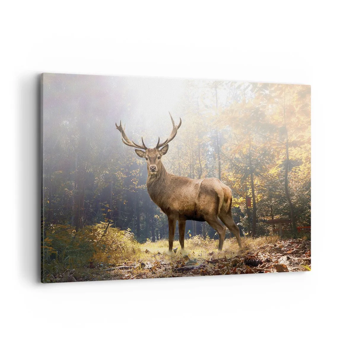 Bild auf Leinwand - Leinwandbild - Hirsch im herbstlichen Wald mit Sonnenstrahlen - 120x80cm - In voller Majestät - Moderne Wanddekoration für Wohnzimmer und Schlafzimmer ARTTOR