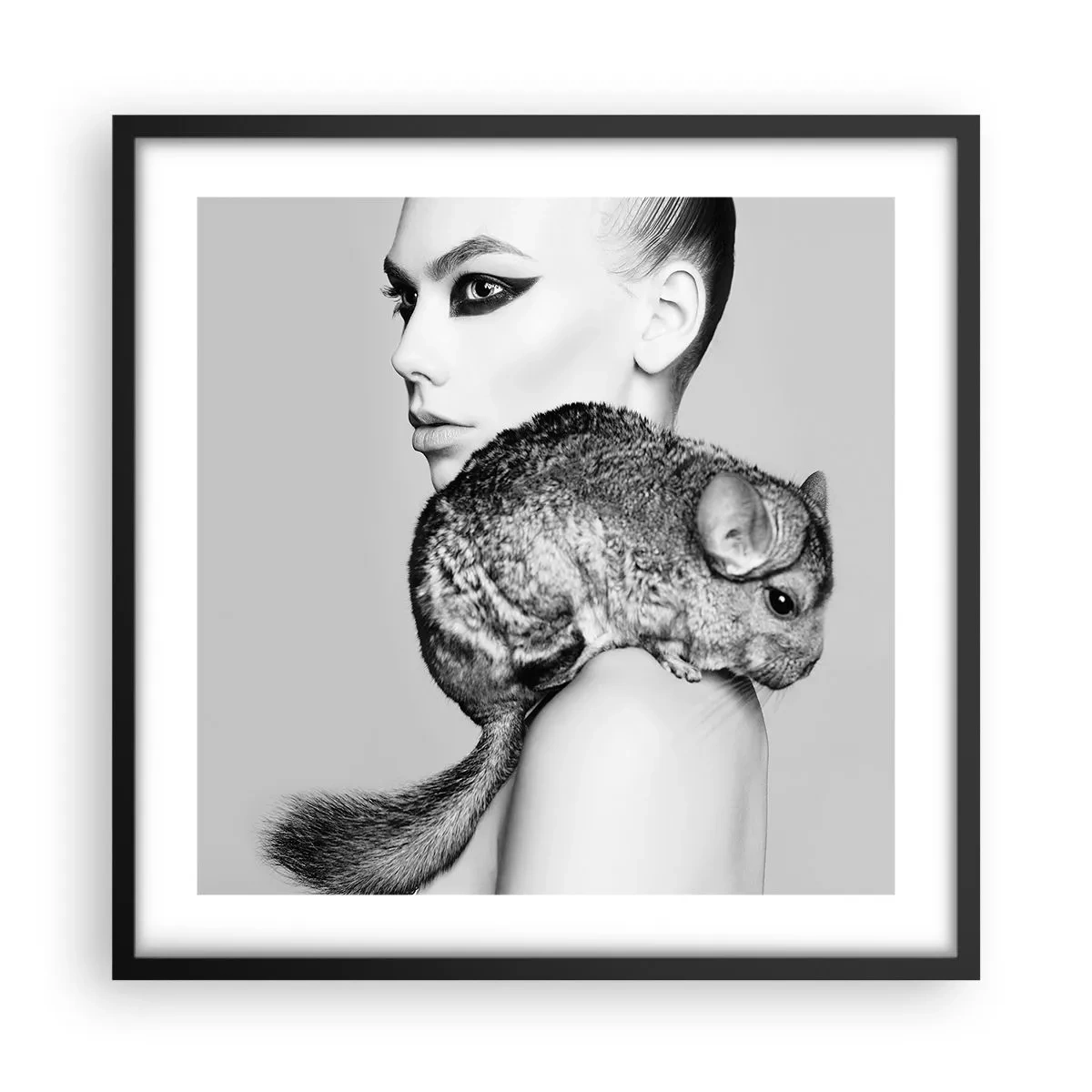 Poster in einem schwarzem Rahmen - Dame mit einem Chinchilla - 50x50 cm