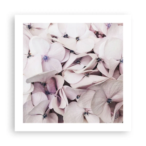 Poster - In einer Blumenflut - 50x50 cm